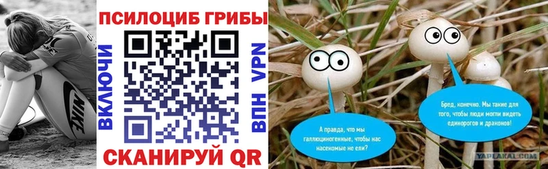 Псилоцибиновые грибы Cubensis Приволжский